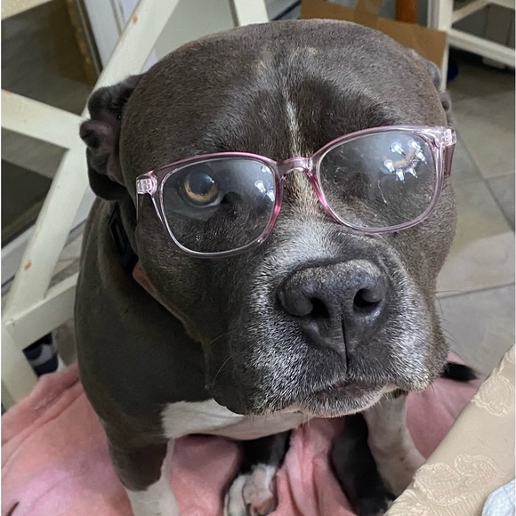 3DeeCloset - Picture 3 of 9